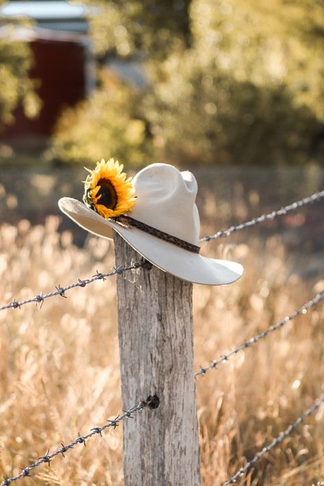 If you want to wear Akubra hats then you can buy such hats online. Before you buy Akubra hats, you need to consider some basic things, and here you can find some factors to consider while you choose these hats Akubra Hat, Akubra Hats, Barbed Wire Fence, Barbed Wire Fencing, Country Fences, Kinds Of Hats, Important Things To Know, What To Do When Bored, Summer Things