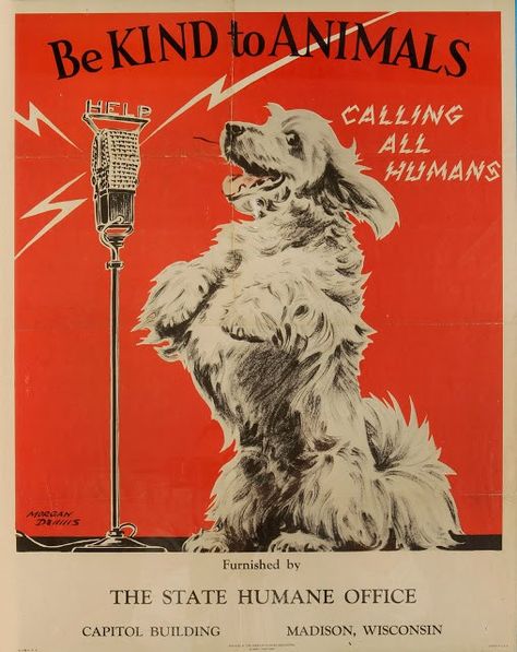 Adorable Vintage Posters Promoting Kindness to Animals During The 1930's Society Poster, Kindness To Animals, Text Poster, Animal Help, Fotografi Vintage, Retro Advertising, Pet Signs, Animal Posters, Advertising Poster