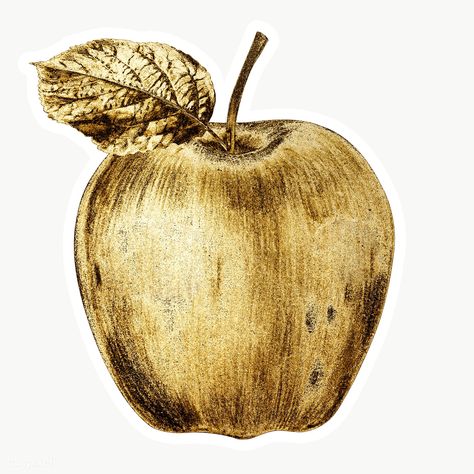 Gold apple fruit sticker with a white border | free image by rawpixel.com / HwangMangjoo Golden Apple Drawing, Bild Gold, Apple Png, Gold Fruit, Wedding Gifts For Newlyweds, Apple Stickers, Gold Stickers, Golden Apple, Gold Apple