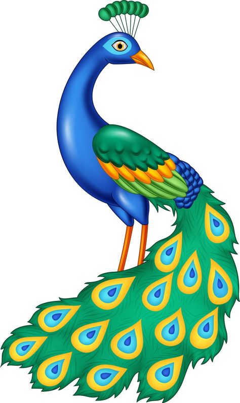 Peacock Drawing Images, Peacock Vector, How To Make Canvas, Peacock Logo, Peacock Drawing, Peacock Images, Peacock Pictures, Christmas Art Projects, Colorful Borders Design