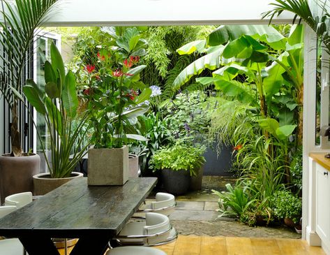 Landscape Tropical, Small Tropical Gardens, Balinese Garden, Small City Garden, Clematis Montana, Tropical Garden Design, Jungle Gardens, Courtyard Gardens Design, Gardening Landscaping