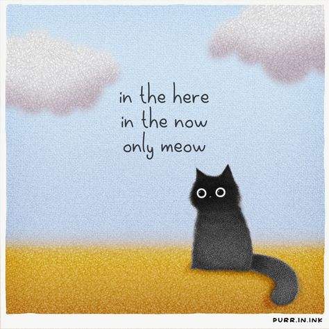 Black Cat Quotes, Meditating Cat, All Black Cat, Mystical Animals, Facts About Cats, Cat Jokes, In The Now, Black And White Cat, Cat Crafts