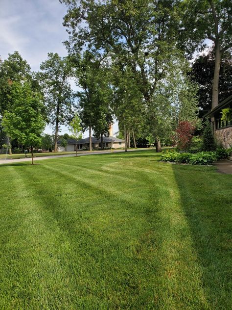 The smell of fresh cut grass!! Its good to be home 🖤 Soft Grass Aesthetic, Lawn Aesthetic, Fresh Grass Aesthetic, Touching Grass Aesthetic, Mowing The Lawn Aesthetic, Its Good To Be Home, Summer Nostalgia, Fresh Cut Grass, Clean Life