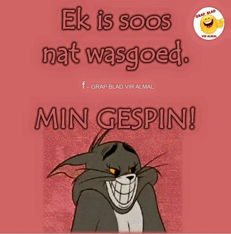 Sometimes Afrikaans is funny.... Afrikaanse Grappe, South African Quote, South Africa Quotes, Johannesburg City, African Quotes, Funny Day Quotes, Laughter The Best Medicine, Love Is Comic, Proverbs Quotes