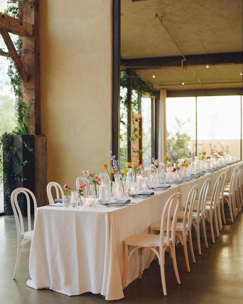 spoiler alert: you don’t have to have full centerpieces on every table to have full, stunning reception tables!! having your heart set on full compotes for every guest table will chip away at your floral budget fast. of course, bud vases are always a great option, but these bright colorful florals against the white tablecloths + wall greenery really pops. remember - guests are only at the reception table during dinner + speeches (about an hour or so). doing a room installation that can be en... Single Table Wedding Reception, Floral Wedding Tablecloth, Wedding Table White Tablecloth, Cocktail Table Bud Vase Wedding, Bud Vases Long Table, Cocktail Table Bud Vase, Bud Vases Wedding Long Table Colorful, Bud Vases Bright Flowers, Bud Vases Wedding