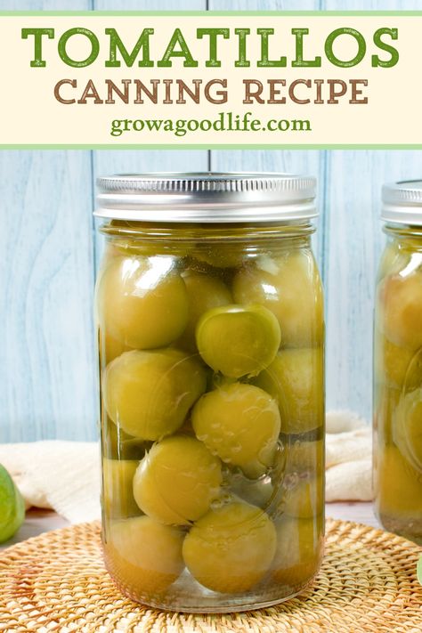 Preserve the abundance from your garden by canning tomatillos using a water bath canner or pressure canner, offering an easy way to preserve whole tomatillos for year-round enjoyment. How To Can Tomatillos, How To Preserve Tomatillos, Preserve Tomatillos, Preserving Tomatillos, Canning Tomatillos, Pickled Squash Recipe, Water Canning, Canned Tomatillos, Tomatillo Recipes