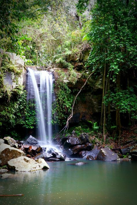 Waterfall at Mount Tamborine; one of the better shots I’ve taken.  #nature #waterfall #photography Mount Tamborine, Rainforest Waterfall, Waterfall From Mountain, Small Waterfall Aesthetic, Tirathgarh Waterfall, Lonavala Waterfall, Live In The Now, Future Travel, Pose Reference