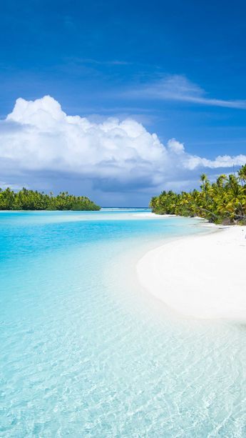 All shades of blue - a colour you will never tire of #lovealittleparadise #cookislands All Shades Of Blue, Summer Beach Pictures, Beach Entry Pool, Ocean Island, Sea Photography, Summer Paradise, Beauty Places, Pretty Beach, Ocean Pictures