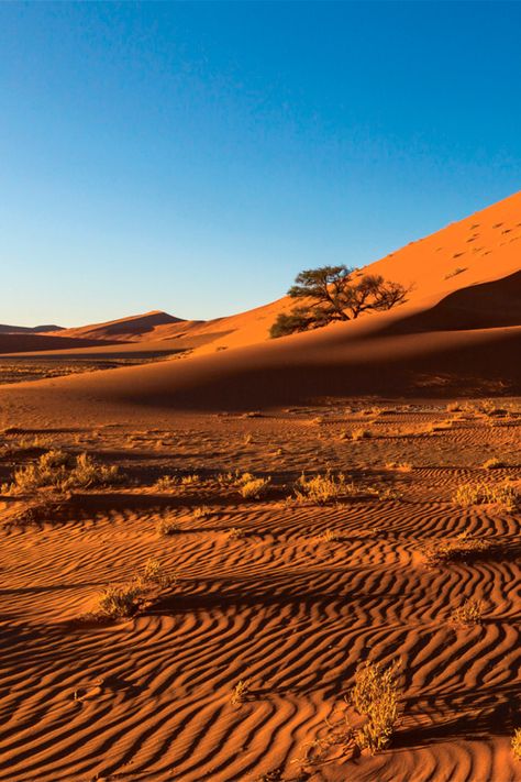 Kalahari Desert South Africa, Kgalagadi Transfrontier Park, Botswana Aesthetic, Sud Africa, Kalahari Desert, Northern Cape, Okavango Delta, Peace Corps, Southern Africa