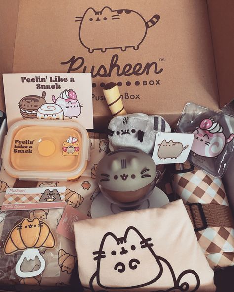 Pusheen Plushies, Pusheen Cute, Pusheen Cat, Hello Kitty Birthday, My Little Pony Drawing, Kawaii Room, Pony Drawing, Kawaii Doodles, Pusheen