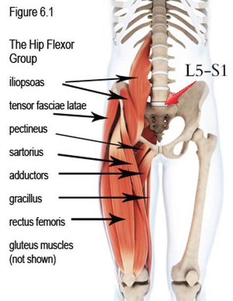 Hip Flexor Psoas Iliaque, Hip Flexor Pain, Tensor Fasciae Latae, Psoas Release, Hip Flexor Exercises, Hip Flexor Stretch, Tight Hip Flexors, Psoas Muscle, Hip Flexors