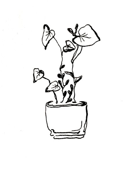 #tattoo #tattooideas #tattooart #tattoosforwomen #tattoodesign #tattooideasformen #aesthetic #trendy #plants #plant #art #leaf #leaves #sketch #tattoosketch #nature #reference #flowertattoo #flower #floral Plant In A Pot Tattoo, Potted Plant Tattoos, Indoor Plant Tattoo, Pot Plant Tattoo, Ivy Plant Tattoo, Propagation Tattoo, Plant Pot Tattoo, Pothos Plant Tattoo, Potted Plant Tattoo