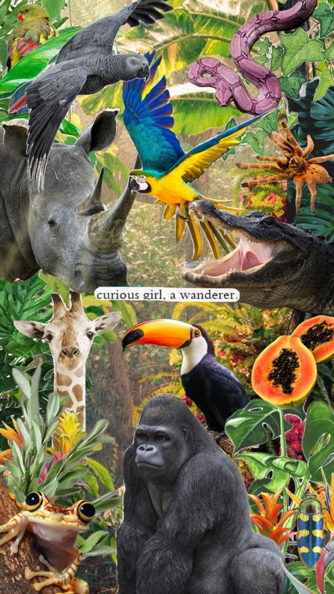 #Zoology, #animals, #jungle, #aesthetic, #wildlife, #wilderness, #forest, #animalaesthetic, #zoologyaesthetic Animal Behaviorist Aesthetic, Environment Science Aesthetic, Wildlife Photographer Aesthetic, Zoology Aesthetic Wallpaper, Animal Biology Aesthetic, Wildlife Conservation Aesthetic, Zoology Wallpaper, Zookeeper Aesthetic, Wildlife Biologist Aesthetic