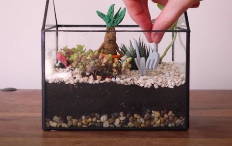 Build your own Herbology terrarium | Wizarding World Harry Potter Terrarium, Hogwarts Greenhouse, Clay Plants, Harry Potter Bday, Craft Tutorial, Harry Potter Hogwarts, Geek Out, Fantastic Beasts, Wizarding World