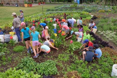 Ecosystem Project, Cute Japanese Guys, Backyard Ecosystem, Ecosystems Projects, Montessori Room, Outdoor Education, Outdoor Classroom, School Yard, School Garden