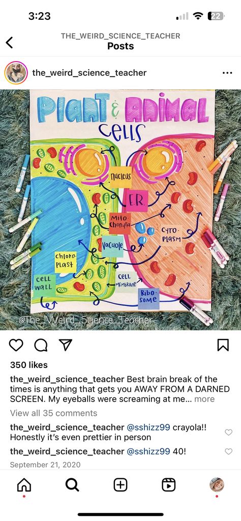 Science Charts For Classroom Class 9, Cell Anchor Chart, Biology Chart Ideas, What Is Cell, Biology Poster, Science Chart, Science Doodles, Plant And Animal Cells, Biology Projects