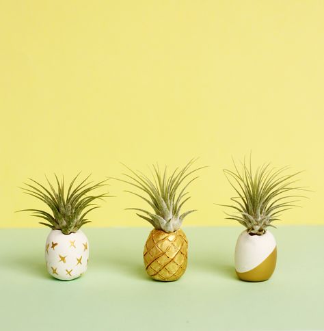 Clay Pineapple, Pineapple Crafts, Pineapple Plant, Diy Pineapple, Air Plant Display, Fiesta Tropical, Clay Planters, Support Plante, Creation Deco