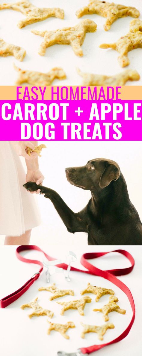 Easy Apple + Carrot Dog Treats - Homemade Dog Treats - Easy Dog Treats - Dog Treats That Do Not Contain Peanut Butter - Easy Dog Treats - Labrador Retriever - Pet Treats - Communikait by Kait Hanson #labradorretriever #easydogtreats #homemadedogtreats #carrotdogtreats #appledogtreats #pets #dogs #chocolatelab Carrot Dog Treats, Gluten Free Dog Treats, Treat Business, Homemade Dog Cookies, Carrot Dogs, Dog Treats Homemade Easy, Doggy Treats, Dog Biscuit Recipes, Easy Dog Treats