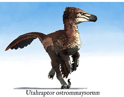 Check out new work on my @Behance profile: "Utahraptor" http://be.net/gallery/200334589/Utahraptor Feathered Raptor Art, Raptor Humanoid, Utahraptor Art, Raptor Skeleton, Dinosaur Oc, Utah Raptor, Winter Creatures, Feathered Raptor, Path Of Titans