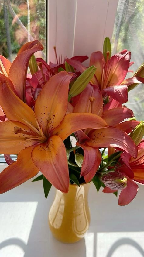 Lilies Flowers Aesthetic, Orange Lilly, Red Lily Flower, Tiger Lily Flowers, Red Lilies, Orange Lilies, Lilies Flowers, Fleur Orange, Lily Bouquet