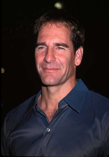 Scott Bakula, Enterprise Nx 01, Shooting Star, Shooting Stars, Actors & Actresses, Actresses, Actors