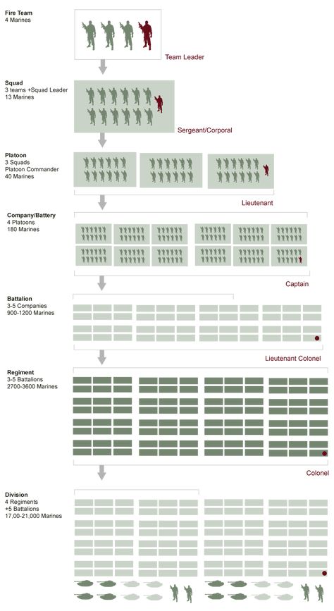 US Military Structure Chart | Army Rank Structure | VetFriends.com Marine Corps Rank Structure, Army Formation, Army Structure, Future Warfare, Army Divisions, Army Ranks, Military Tactics, Military Ranks, Army Base