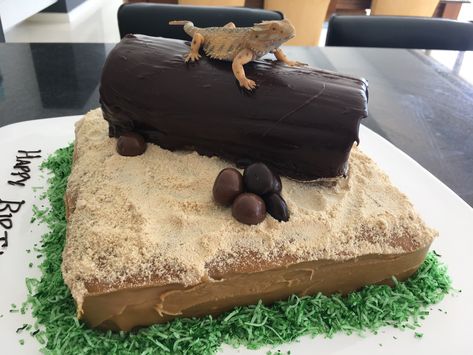 Bearded Dragon Cake Ideas, Bearded Dragon Cake, Dragon Cake Ideas, Dragon Party Ideas, Lizard Cake, Diy Sharpie Crafts, Funny Lizards, Bearded Dragon Diet, 15th Birthday Cakes