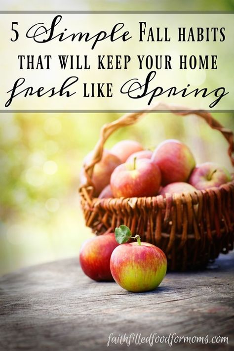 5 Simple Fall habits that will keep your home fresh like Spring 2 October Instagram Story, Old Wicker, Easy Autumn Recipes, Baked Apple Pie, Filling Food, Fun Fall Activities, Fall Apples, Apple Harvest, Harvest Time