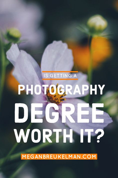 photography BFA, photography degrees, should I get a photo degree, should I get a photography degree, should I get a degree in photography, should I go to college for photography, photography college, photography school, photography college degree, becoming a photographer, become a photographer Photography Degree, College Photography, Royal Photography, Photography Hacks, Portrait Photography Tips, Photography School, Photography Cheat Sheets, Become A Photographer, Wedding Photography Tips