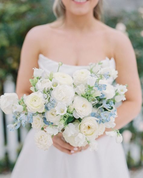 greenlion (@greenlionri) • Instagram photos and videos Light Blue And White Bouquet, Josie Wedding, Round Bridal Bouquet, Blue And White Bouquet, Blue Bouquets, Blue Hydrangea Bouquet, Chinoiserie Wedding, Wedding Flowers Hydrangea, Flowers Hydrangea