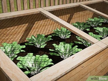 Possum Proof Vegetable Garden, New Zealand Garden, Garden Remedies, Garden Steps, Garden Fence, Diy Backyard, Reference Photos, Brick Wall, Garden Beds