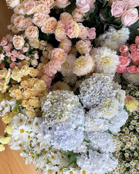 For Anna 🏹✨⛲️🌼🧚‍♀️🤍 Invincible Summer, Nothing But Flowers, Flower Therapy, Beautiful Bouquet Of Flowers, Trust Issues, Pastel Flowers, Flower Beauty, Love Flowers, My Flower