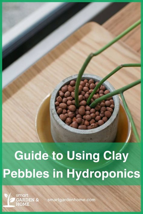 Find out why clay pebbles are great for hydroponics! They help plants stay healthy by holding water, providing good drainage, and keeping roots happy. Discover more benefits at Smart Garden and Home. How To Use Clay Pebbles For Plants, Clay Pebbles For Plants, Composting Methods, Hydroponic Growing, Gardening Techniques, Garden Compost, Smart Garden, Hydroponics System, Sustainable Garden