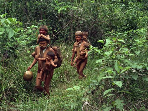 Yanomami Tribe, Amazon Tribe, Indian Tribes, Nature Wildlife, Yahoo Search, South American, American Indian, South America, Native American