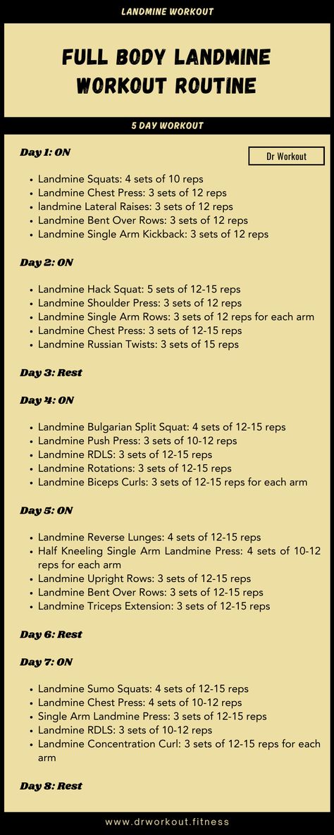 Full Body Landmine Workout Plan Landmine Workout Routine, Landmine Workout, Landmine Exercises, Athlete Diet Plan, Advanced Workout Routine, Lower Workout, Powerlifting Workouts, Bodyweight Workout Routine, Workout Sheets