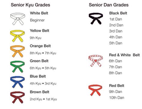 Judo belt progression Judo Wallpaper, Judo Belt, Taekwondo Belts, Judo Throws, Judo Training, Judo Gi, Karate Belt, Kyokushin Karate, Shotokan Karate