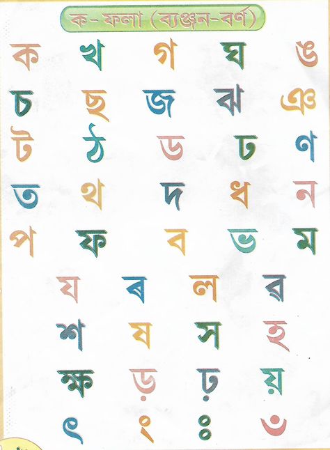 Assamese consonants Bengali Script, Bengali Alphabet, Phonetics English, Assamese Language, Bengali Calligraphy, Bengali Language, Worksheets For Class 1, Printable Alphabet Worksheets, Learn Hindi