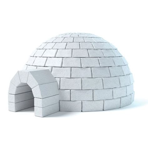 Igloo Images, Igloo Craft, Igloo House, Build A Wall, 3d Craft, House Blend, Candyland Decorations, Black House Exterior, Contemporary Classic