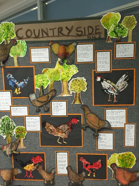 Countryside y3 City Vs Country, Primary Classroom Displays, Documentation Ideas, Classroom Wall Displays, Working Wall, Display Boards, Wall Displays, School Displays, Preschool Themes