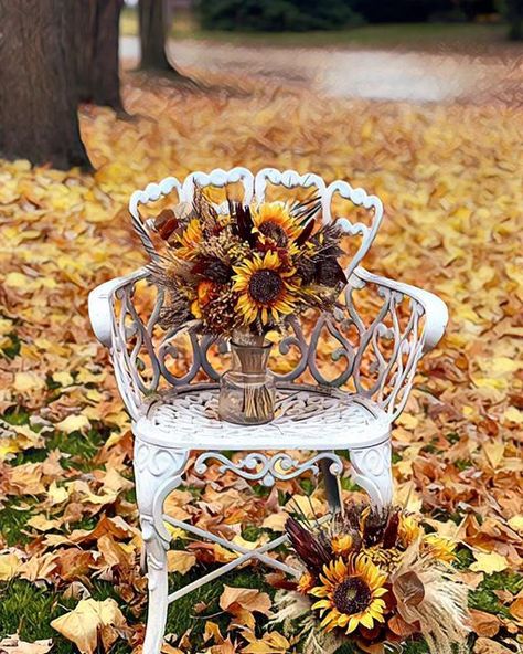 Sandra Field on Instagram: "Fall wedding and fall bouquets. ⁣ .⁣ .⁣ .⁣ .⁣ .⁣ #autumnvibes🍁 #fall #traveling #travelblogger #autumnvibes #beautiful #nature #pumpkins #pumpkinseason #photography #pumpkinspice #pumpkinpatch #october #travelgram #pumpkinpicking #instatravel #spooky #spookyseason #love #fallfashion #instagood #familytime #travelling #fallvibes #family #forestwedding #traveltheworld #rustic-wedding #pumpkin #fallwedding" Pumpkin Picking, Pumpkin Seasoning, Forest Wedding, Fall Vibes, Family Time, Pumpkin Patch, Pumpkin Spice, Fall Wedding, Travel Blogger