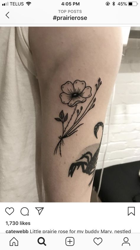 Wild Prairie Rose Tattoo, Prairie Rose Tattoo, Prairie Tattoo, Wild Prairie Rose, Flower Tats, State Tattoos, Flower Tat, Rose Flower Tattoos, Prairie Rose