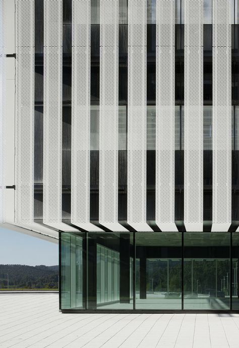 Headquarter building for the Science Park of the University of the Basque Country,© Aitor Ortiz Building Skin, Minimalism Design, Science Park, Metal Facade, Cladding Systems, Facade Architecture Design, Facade Cladding, Expanded Metal, Santiago Calatrava