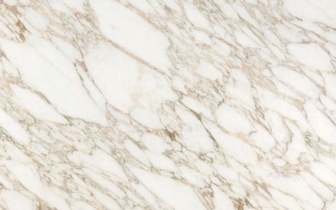 calacatta vagli oro marble Calacatta Tile, Calacatta Gold Marble, Tile Trends, Calacatta Gold, Large Format Tile, Calacatta Marble, Marble Look Tile, The Marble, Italian Marble