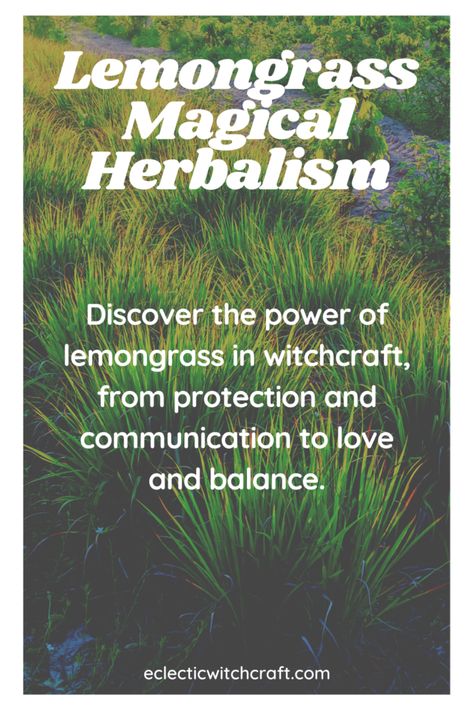 Lemongrass Spiritual Meaning, Eclectic Witchcraft, Spiritual World, Witching Hour, Spiritual Meaning, The Meaning, Lemon Grass, Meant To Be, Spirituality