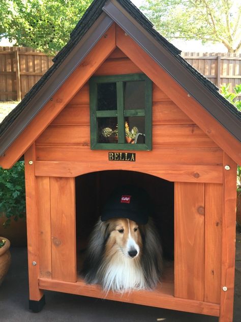 Building the Best Dog House: Same as we craft the best recipes we also built the best dog house for the most pampered of the family: Bella, our sheltie dog and kitchen companion. Outside Dog Houses For Big Dogs, Teacup Dog Breeds, Luxury Dog House, Building A Dog Kennel, Wood Dog House, Wooden Dog House, Dog House Plans, Large Dog House, Cool Dog Houses