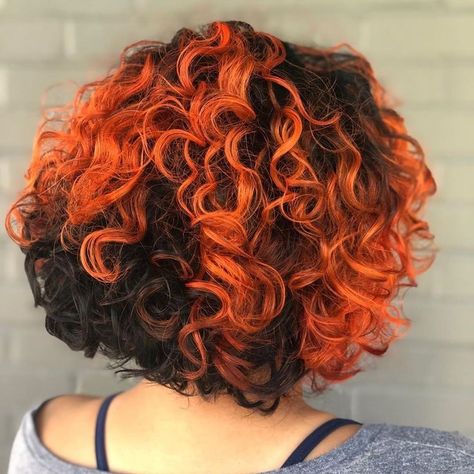 Short Curly Hair Ideas, Hair Dyed Underneath, Curly Hair Color, Peekaboo Hair Colors, Curly Hair Ideas, Curly Black Hair, Dyed Curly Hair, Peekaboo Hair, Bold Hair Color