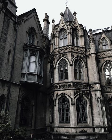 Gothic Study, Gothic Academia, Darkest Academia, Academia Aesthetics, Castle Aesthetic, Dark House, Slytherin Aesthetic, Dark Academia Aesthetic, Gothic Architecture