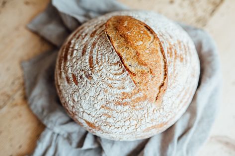 You Can Bake Bread in Your Air Fryer—And This Sourdough Recipe Is Stacked with Gut-Health Benefits Frozen Yogurt Bites, Yogurt Bites, Carrot Cake Oatmeal, Country Bread, Sourdough Bread Recipe, Sourdough Recipes, Artisan Bread, Sourdough Starter, Oatmeal Cookies