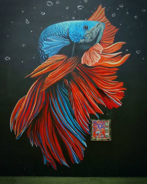 Betta Fish Wall Mural by @nabil_ink Fish Wall Mural, Fish Wallpaper, Room Stuff, Mural Design, Fish Painting, Fish Art, Betta Fish, Cancun, Wall Mural