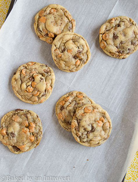 Ultra chewy cookies with delicious butterscotch chips and chocolate toffee bits. Butterscotch Toffee Cookies, Recipe For Sandwich, Butterscotch Toffee, Chips And Chocolate, Toffee Cookie Recipe, Butterscotch Cookies, Toffee Cookies, Chewy Cookies, Toffee Bits